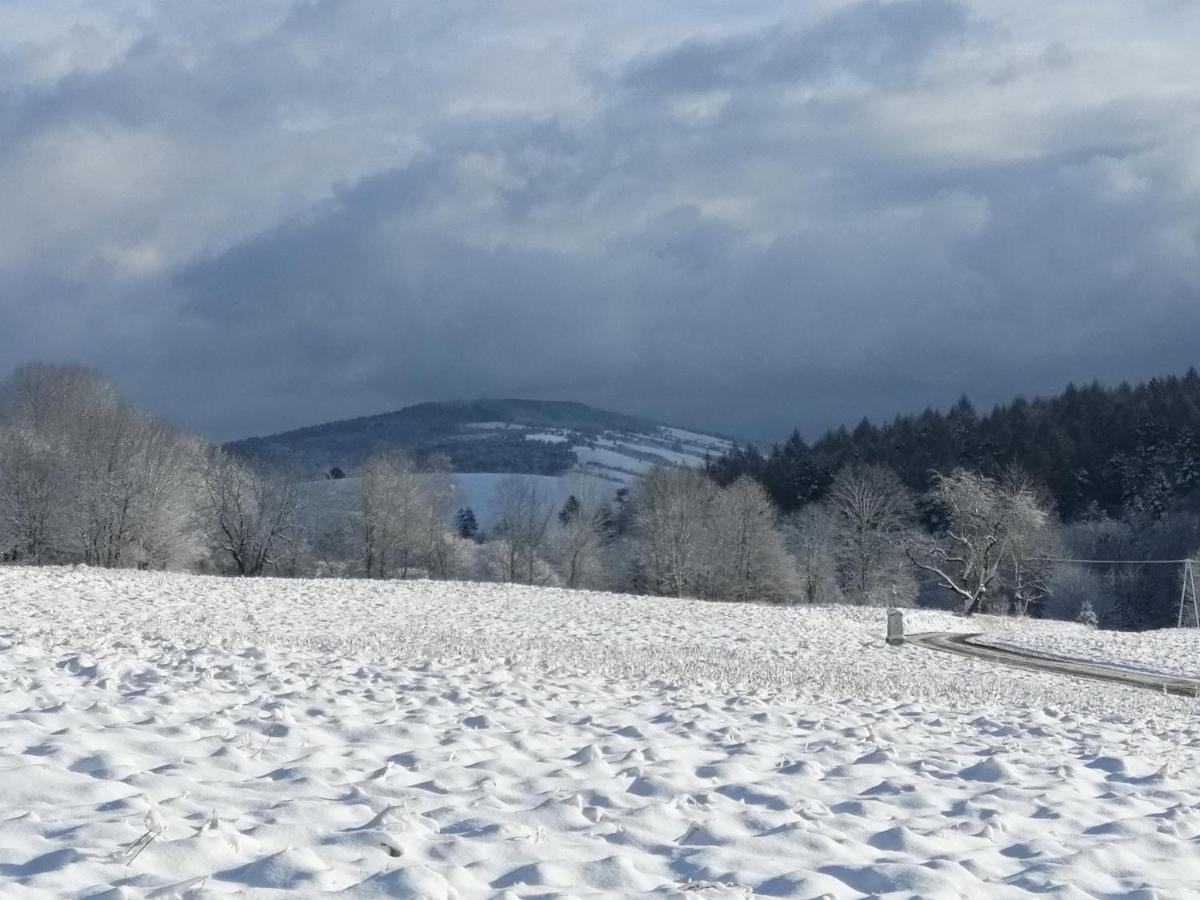 Rzepedka Rzepedz Exterior foto