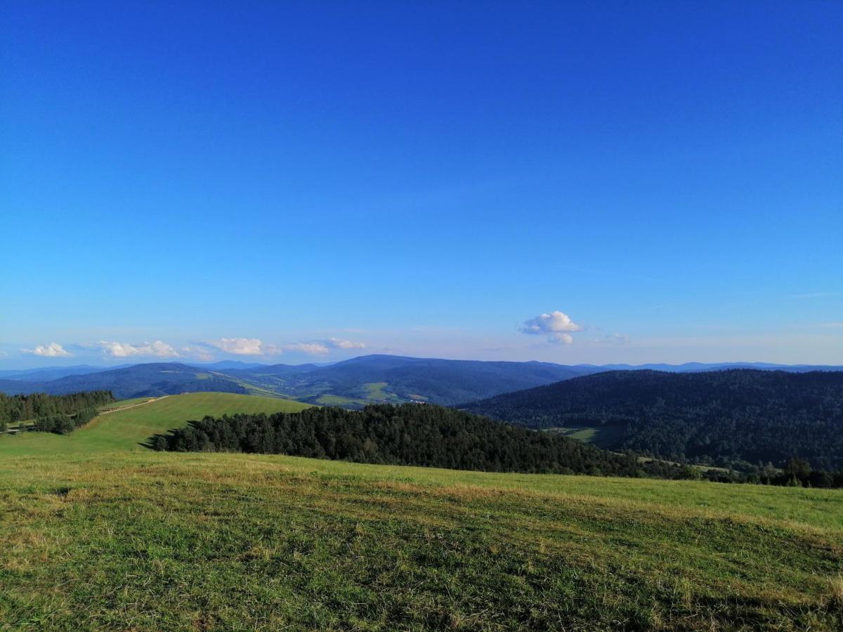 Rzepedka Rzepedz Exterior foto