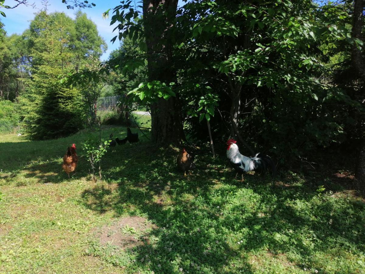 Rzepedka Rzepedz Exterior foto