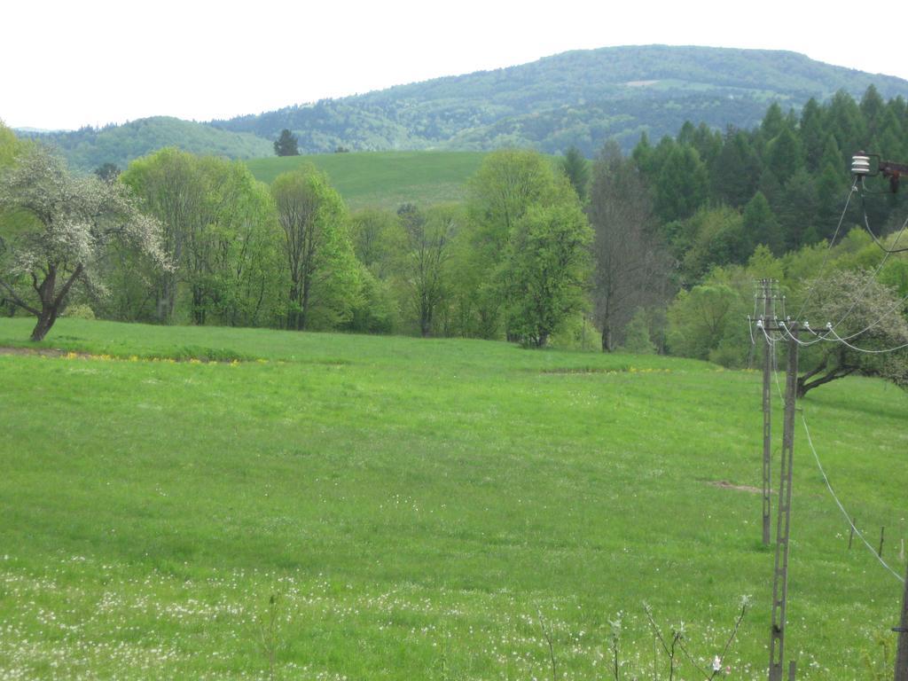 Rzepedka Rzepedz Exterior foto